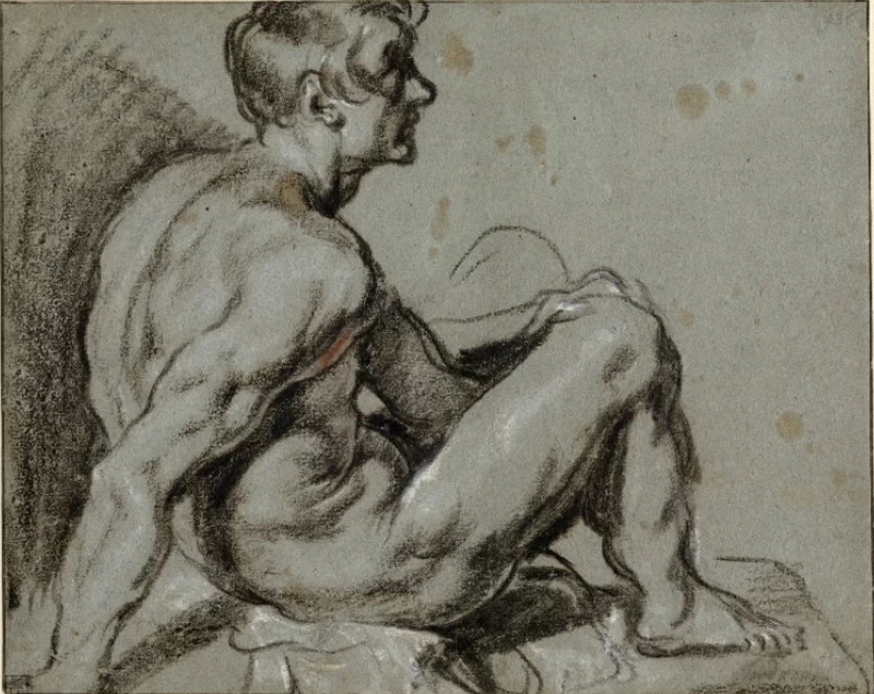 Disegno - Studio di nudo maschile a destra, British Museum